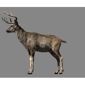 US Astronaut Wearing Advanced Crew Escape Suit ACES Rigged for Maya